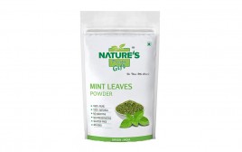 Nature's Gift Mint Leaves Powder   Pack  200 grams